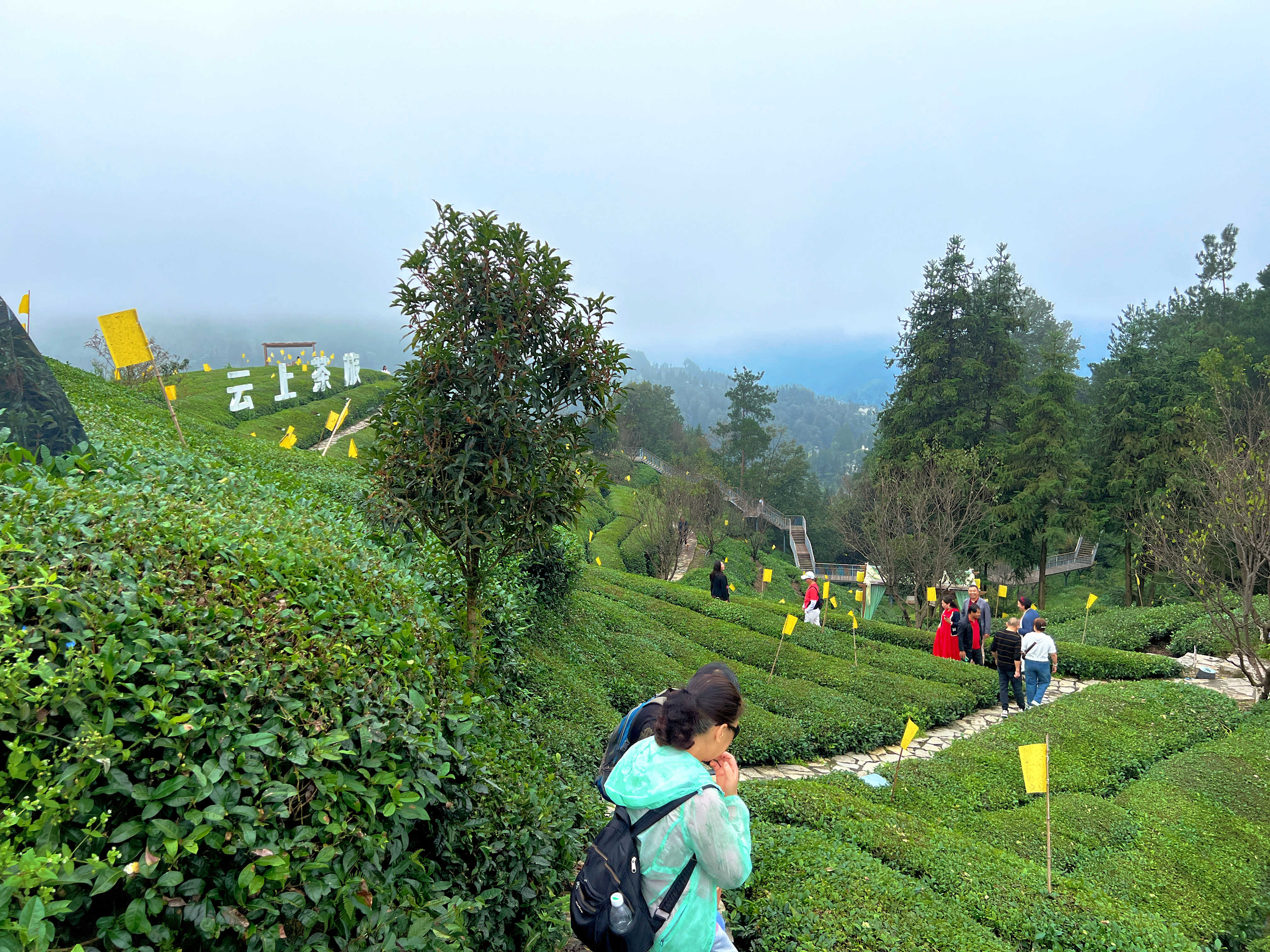 2025-10-05 120128.jpg